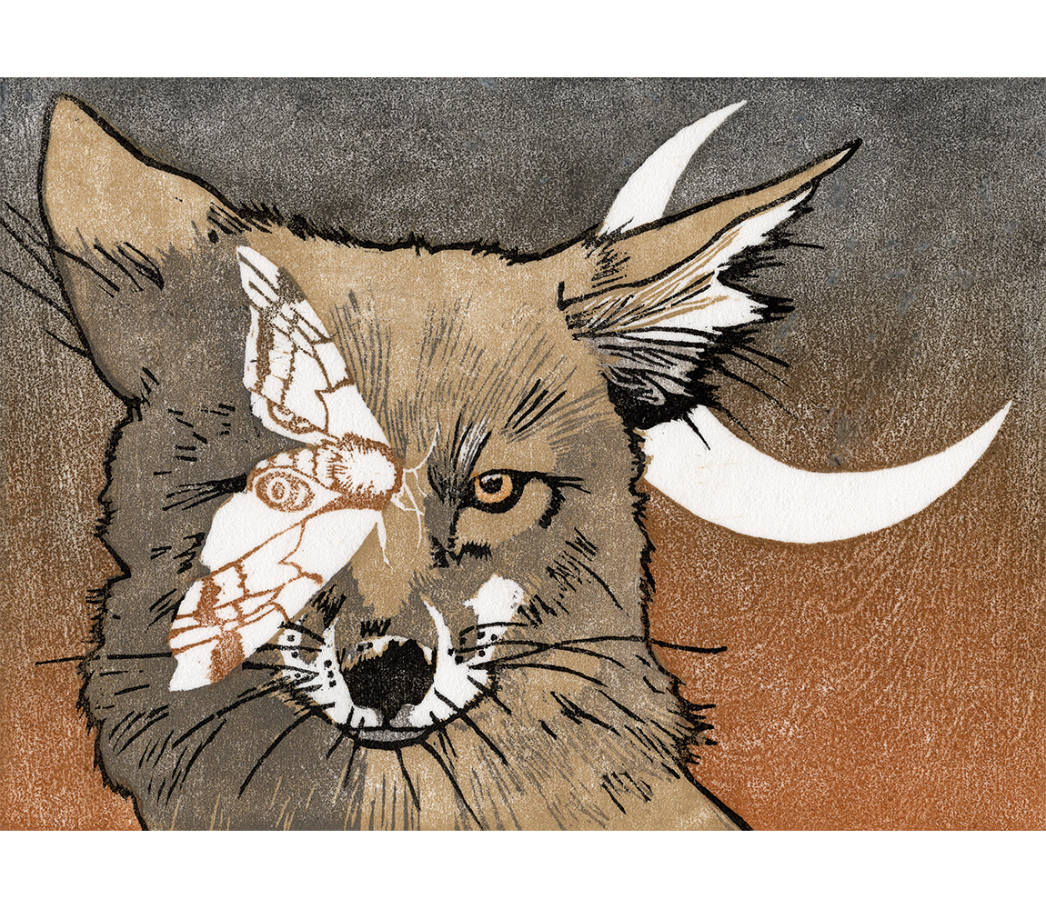 “Animal Dreams” - Kristen Etmund